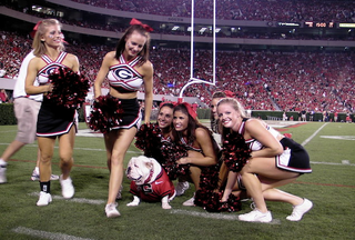 Illustration for article titled Bulldog Mascots Are Doomed, Flatulent, And Beloved